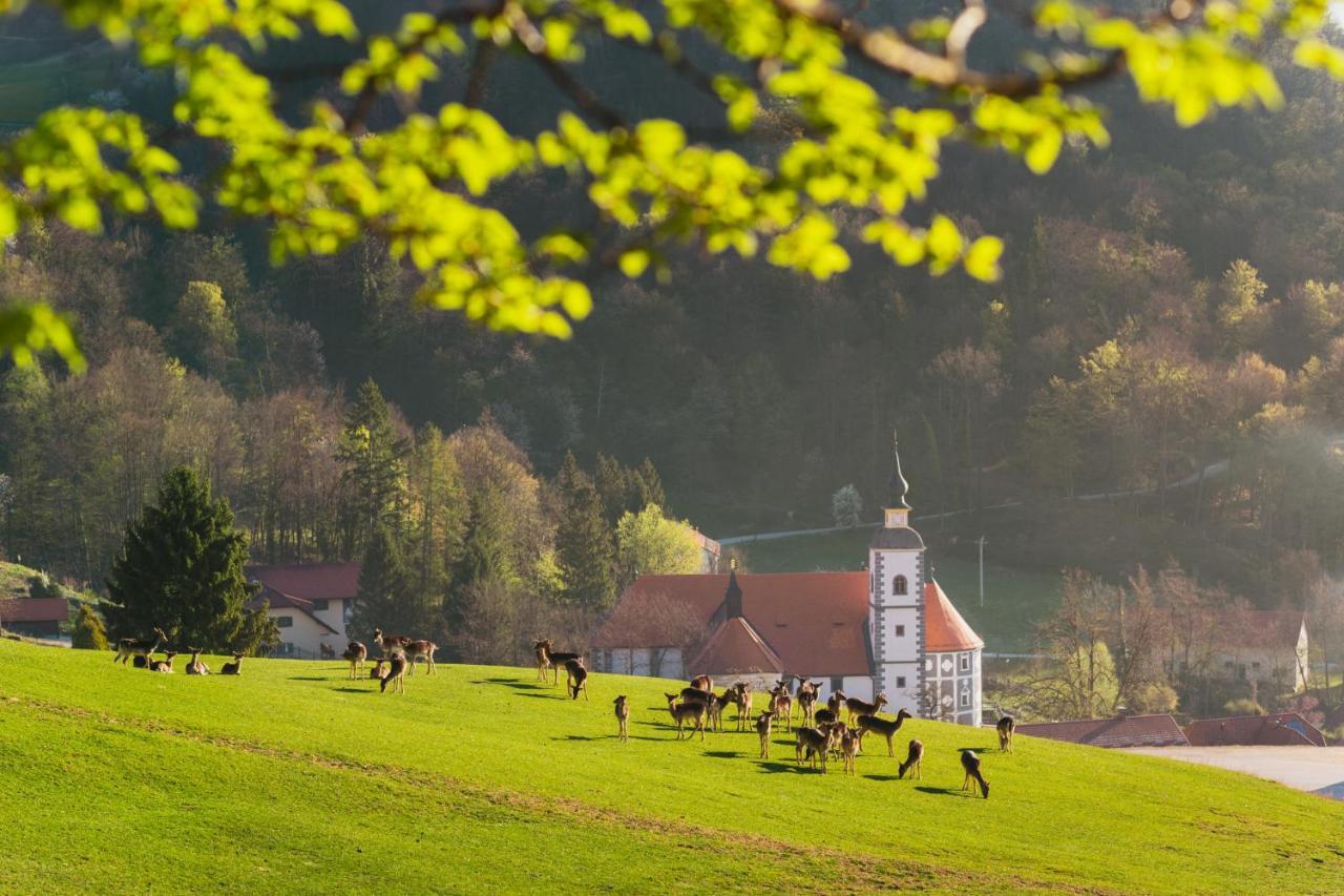Guesthouse Jelenov Greben Podcetrtek Luaran gambar
